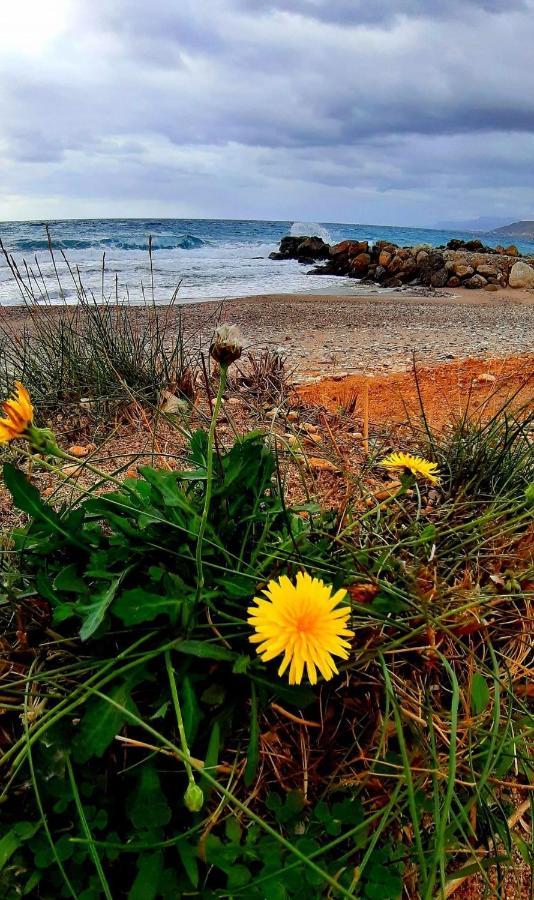 Appartamento Liviko View Xerokampos  Esterno foto